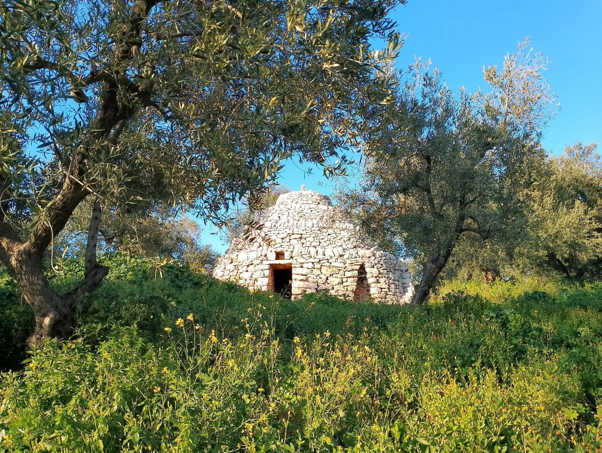 Agricampeggio Wishne Luxury tent