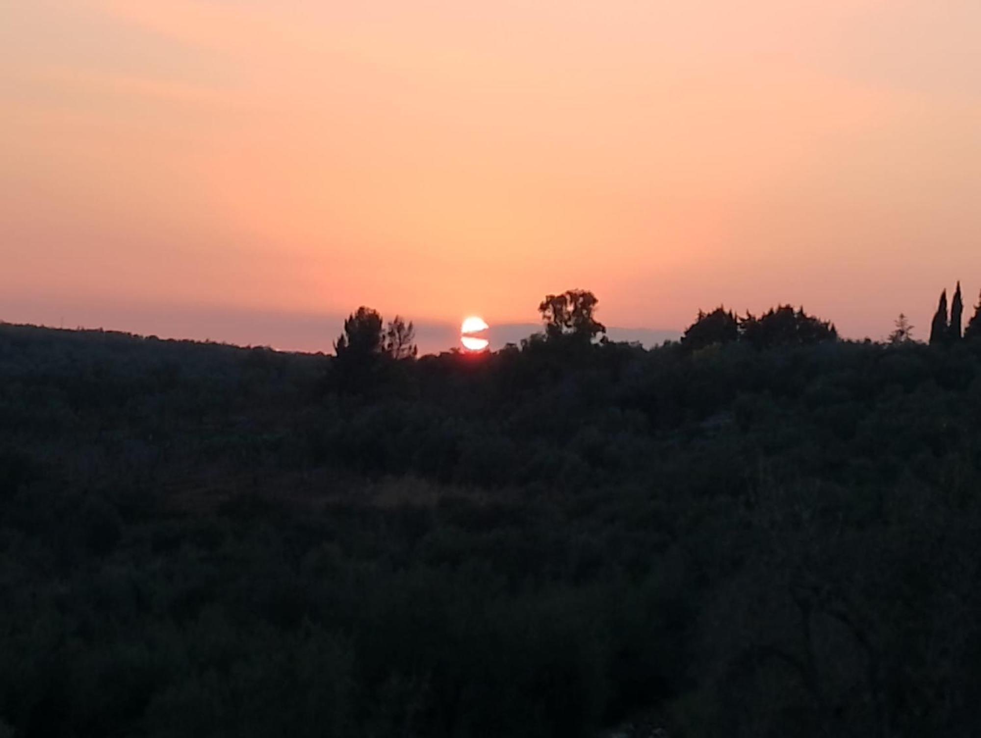 Luxury tent Agricampeggio Wishne Bisceglie