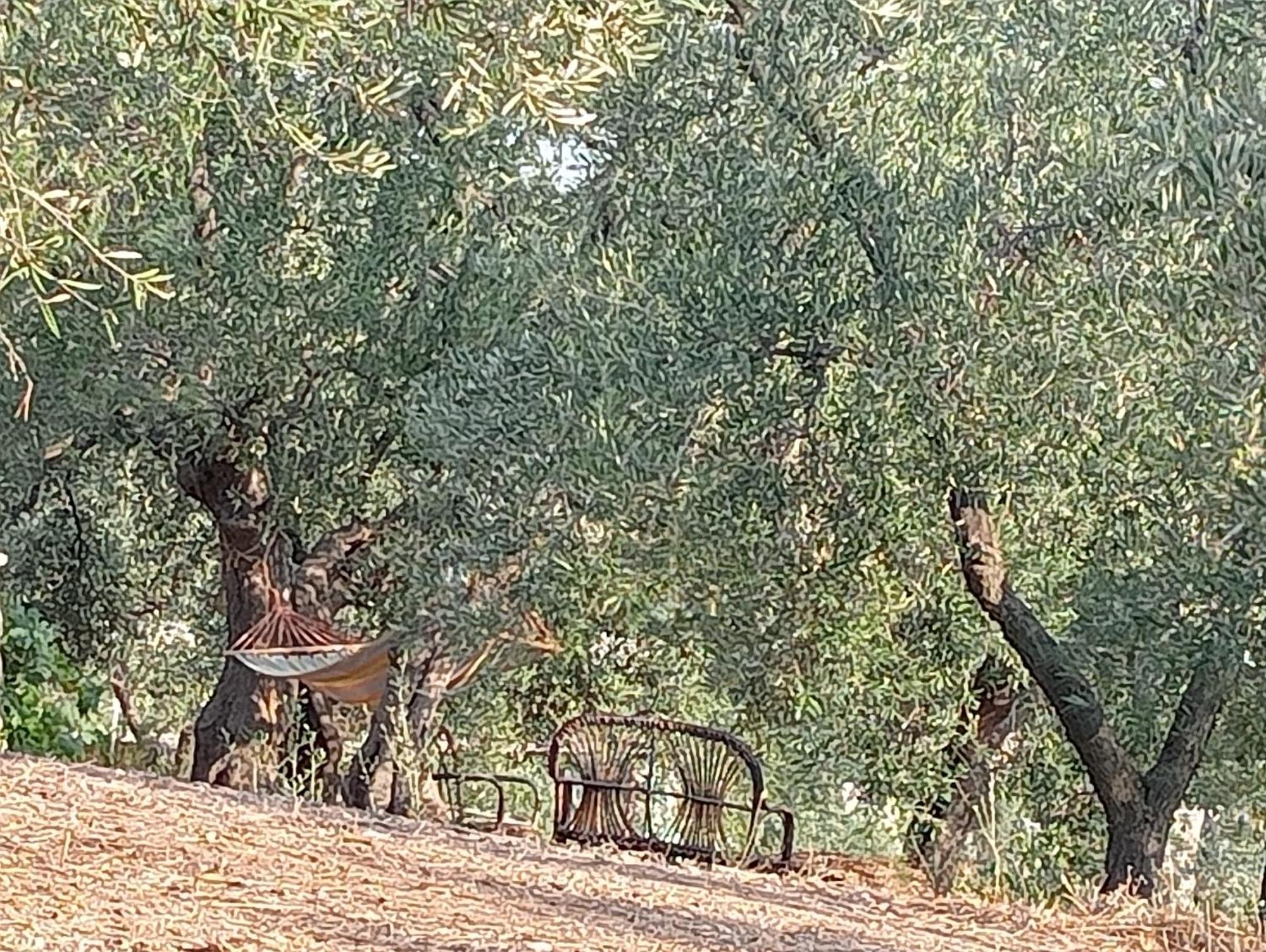 Agricampeggio Wishne * Bisceglie